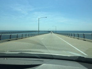 Crossing into Virginia from Delaware (after driving for MILES of farm land, this was wonderful to see! We also saw some dolphins while driving over this bridge