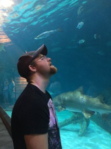 Staring at the sharks!